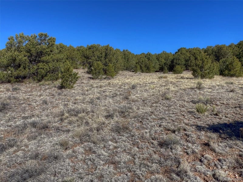 885 Crow Rd, Westcliffe, CO 81252