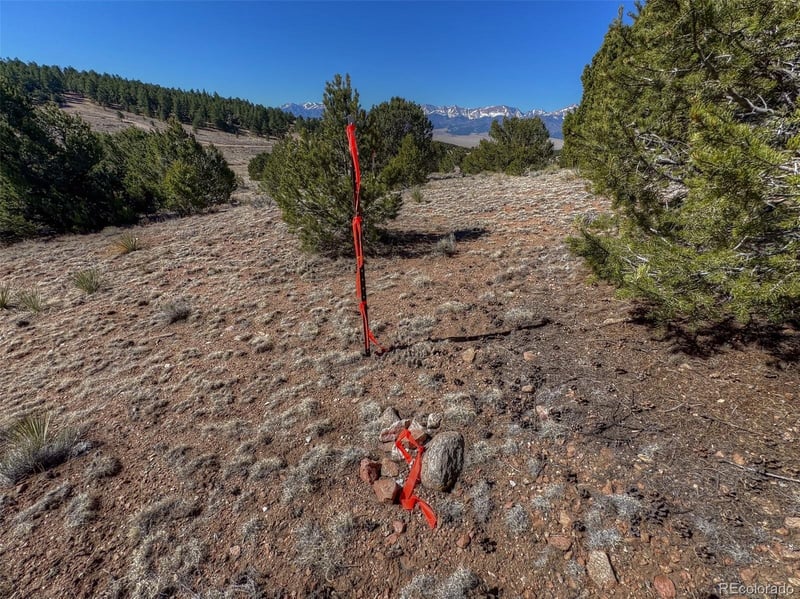 885 Crow Rd, Westcliffe, CO 81252