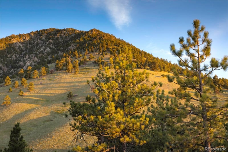 4 Sumner Rd, Arvada, CO 80403