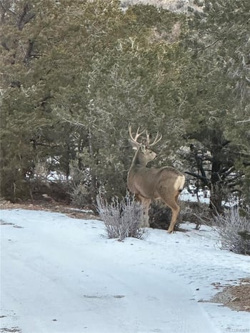 3818 Fontaine Rd, Fort Garland, CO 81133