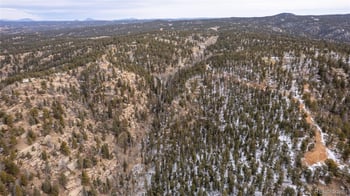 3388-3410 Mountain Estates Rd, Florissant, CO 80816