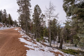 3388-3410 Mountain Estates Rd, Florissant, CO 80816