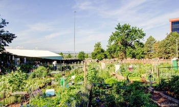 2868 Heather Gardens Way #103, Aurora, CO 80014