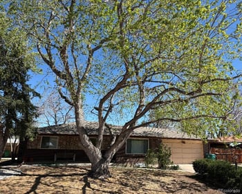 12491 7th Pl, Lakewood, CO 80401