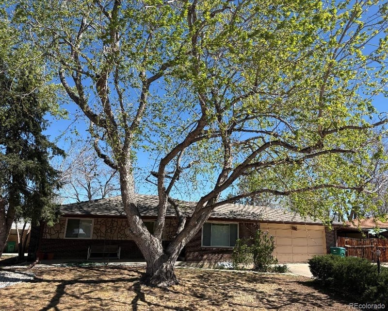 12491 W 7th Pl, Lakewood, CO 80401