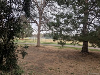 8225 19th Ave, Lakewood, CO 80214