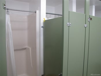 277 Tressel Trl, Hartsel, CO 80449