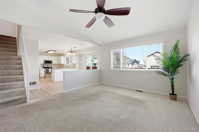 1282 Parsons Ave, Castle Rock, CO 80104