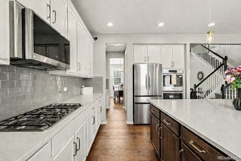 14317 Double Dutch Loop, Parker, CO 80134