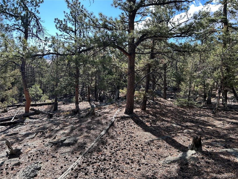 1581 Bellows Rd, Hartsel, CO 80449