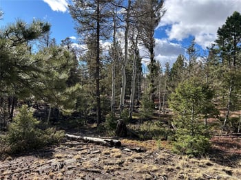 1581 Bellows Rd, Hartsel, CO 80449