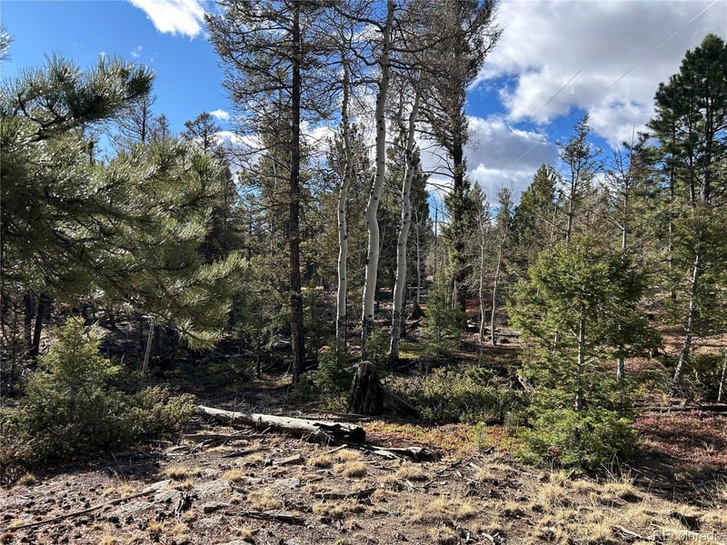 1581 Bellows Rd, Hartsel, CO 80449