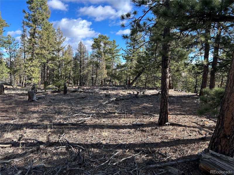 1581 Bellows Rd, Hartsel, CO 80449