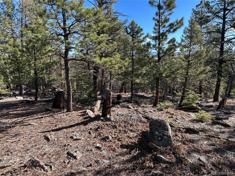 1581 Bellows Rd, Hartsel, CO 80449