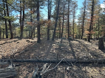 1581 Bellows Rd, Hartsel, CO 80449