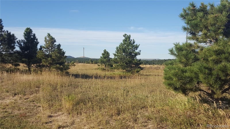 16935 Oldborough Hts, Monument, CO 80132