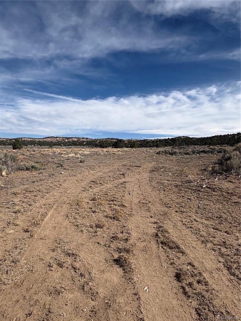 Lot 2121 Acapulco Rd, Fort Garland, CO 81133