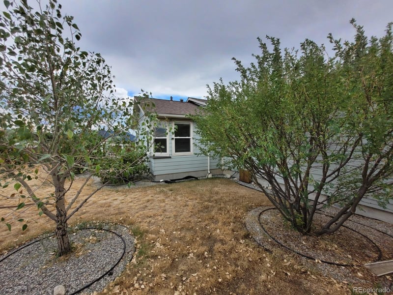16370 County Road 356 12, Buena Vista, CO 81211