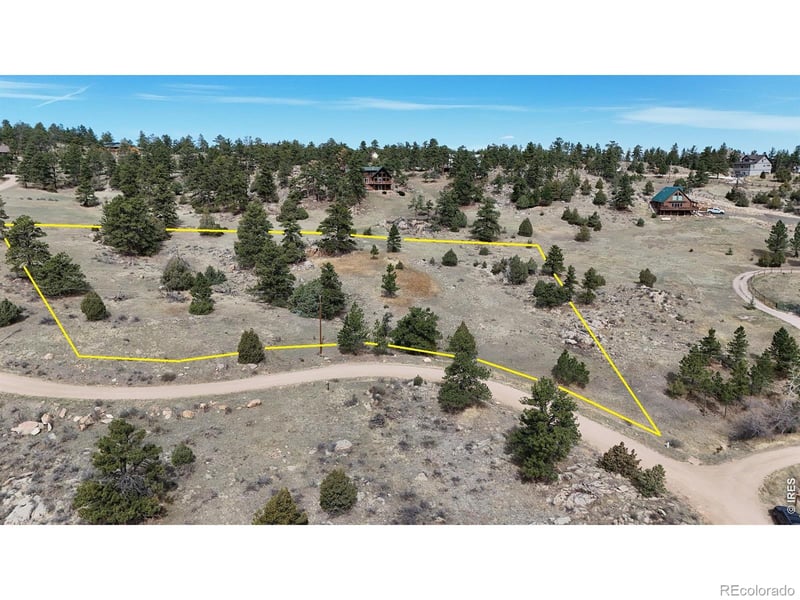 565 Le Conte Dr, Livermore, CO 80536