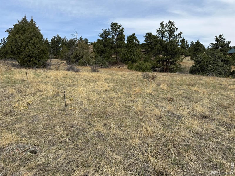 565 Le Conte Dr, Livermore, CO 80536