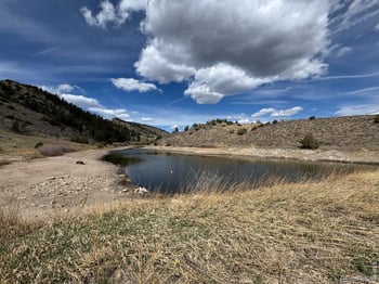 565 Le Conte Dr, Livermore, CO 80536