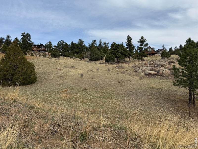 565 Le Conte Dr, Livermore, CO 80536