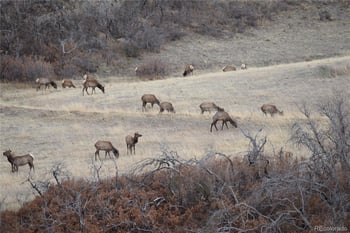 1325 Primavera Pl, La Veta, CO 81055