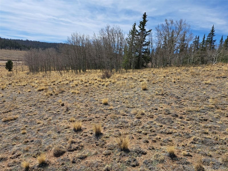 541 War Ln, Como, CO 80432