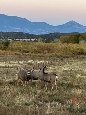 640 County Rd 571, Gardner, CO 81040