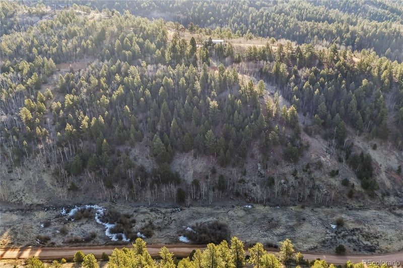 728 Little Topsey Dr, Cripple Creek, CO 80813