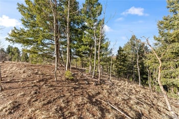 728 Little Topsey Dr, Cripple Creek, CO 80813