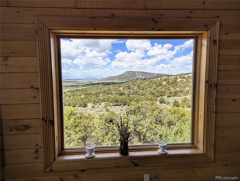 17421 Poza Rica Rd, Fort Garland, CO 81133