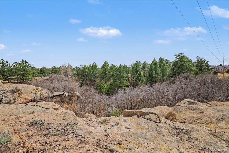 1010 Tabor Dr, Castle Rock, CO 80104