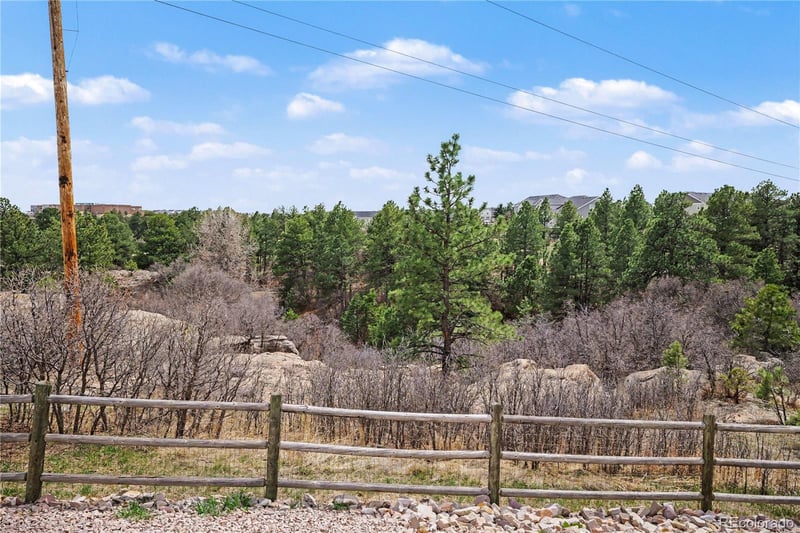 1010 Tabor Dr, Castle Rock, CO 80104