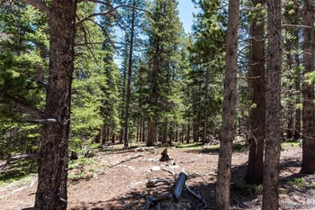 176 Gold Trail Cir, Fairplay, CO 80440