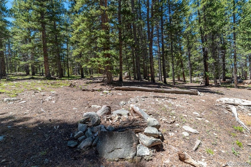 176 Gold Trail Cir, Fairplay, CO 80440