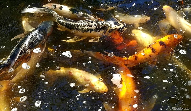 10716 Steele St, Northglenn, CO 80233