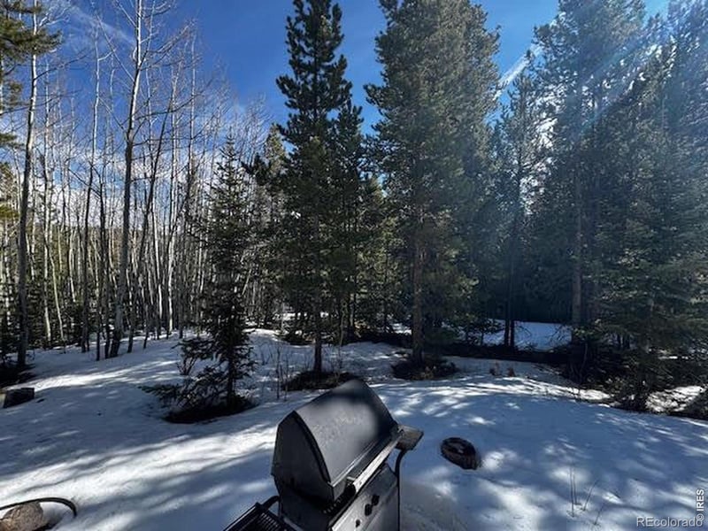 350 Mosquito Dr, Red Feather Lakes, CO 80545