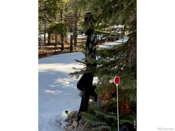 350 Mosquito Dr, Red Feather Lakes, CO 80545