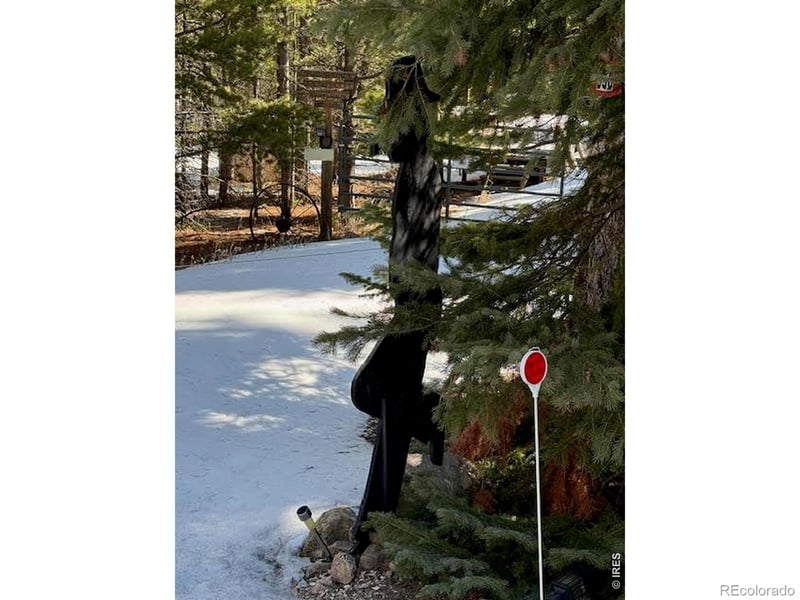 350 Mosquito Dr, Red Feather Lakes, CO 80545