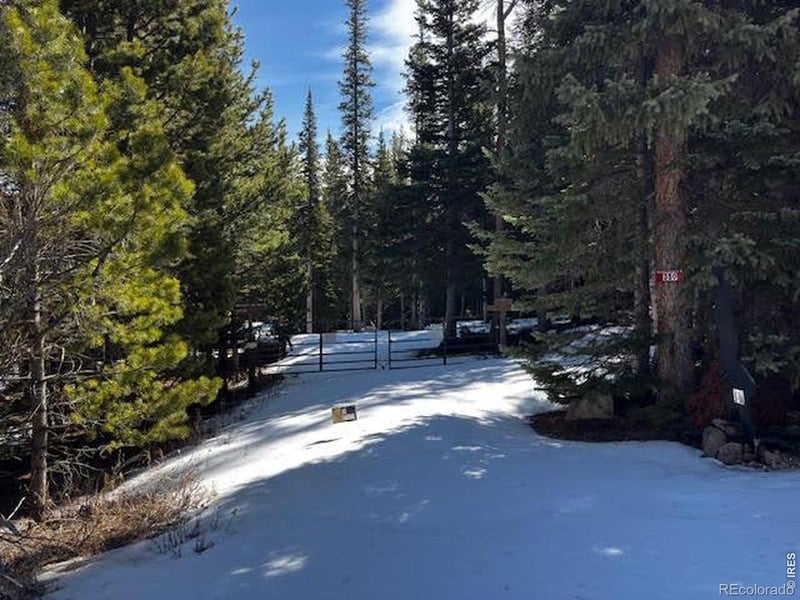 350 Mosquito Dr, Red Feather Lakes, CO 80545