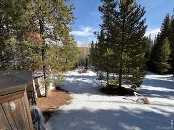 350 Mosquito Dr, Red Feather Lakes, CO 80545