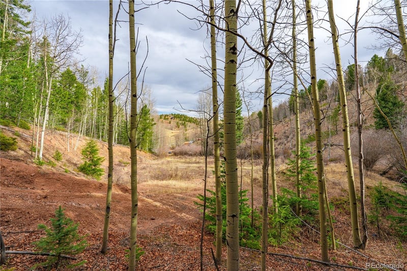 130 Grey Eagle Way, Cripple Creek, CO 80813