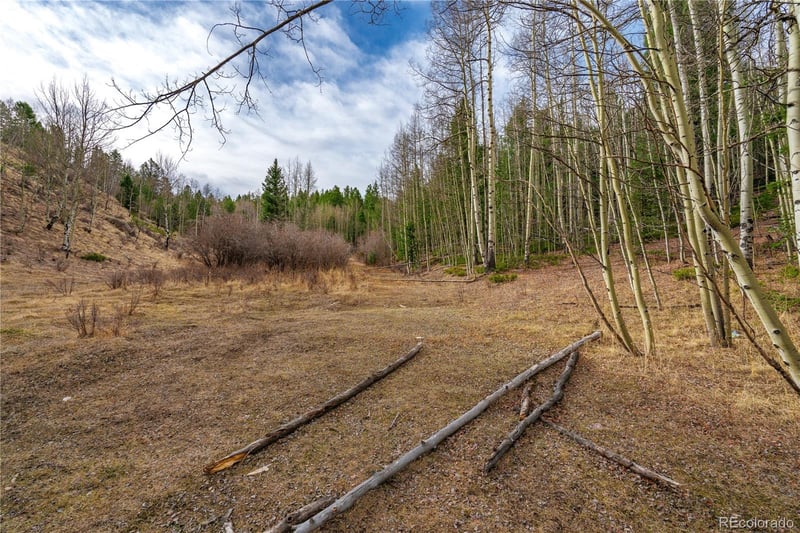 130 Grey Eagle Way, Cripple Creek, CO 80813