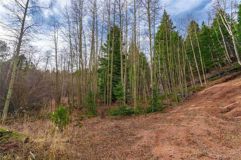 130 Grey Eagle Way, Cripple Creek, CO 80813