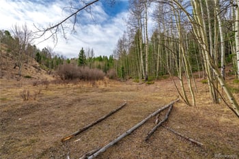 130 Grey Eagle Way, Cripple Creek, CO 80813