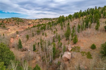 130 Grey Eagle Way, Cripple Creek, CO 80813