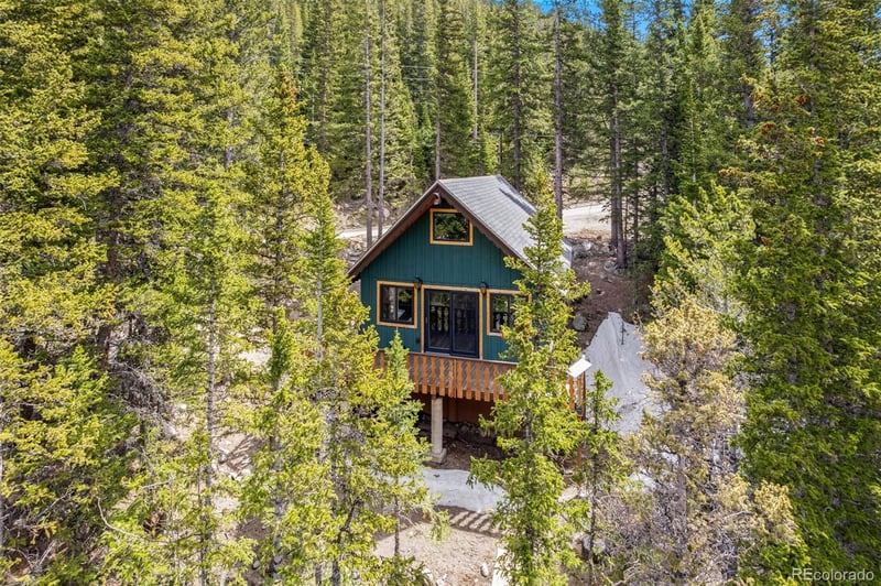 827 Mine Rd, Idaho Springs, CO 80452