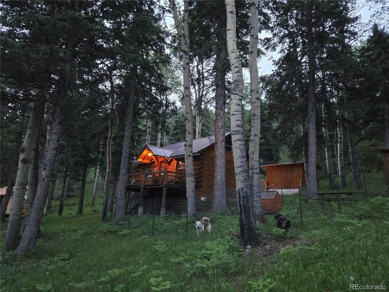 9626 State Highway 165, Rye, CO 81069