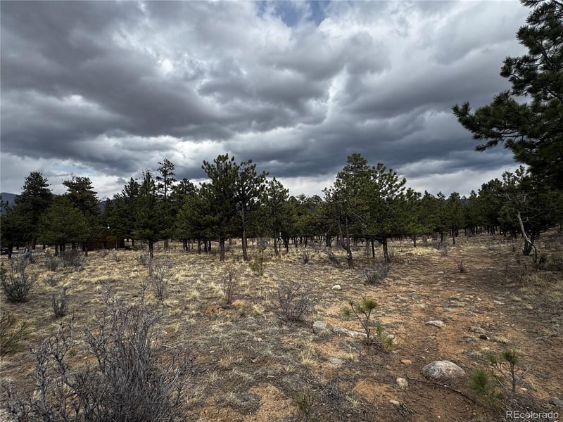 30583 Timberline Dr, Buena Vista, CO 81211